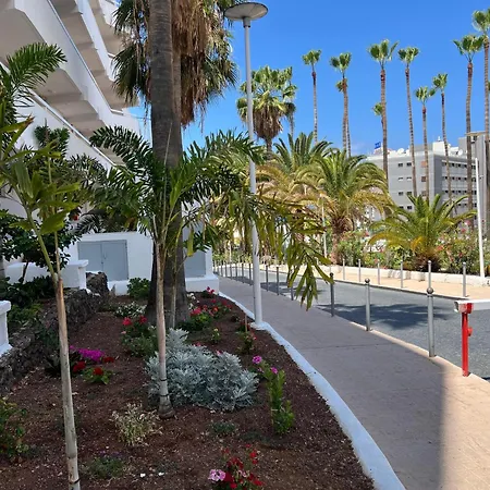 Tenerife Sea View 216 公寓式酒店 *